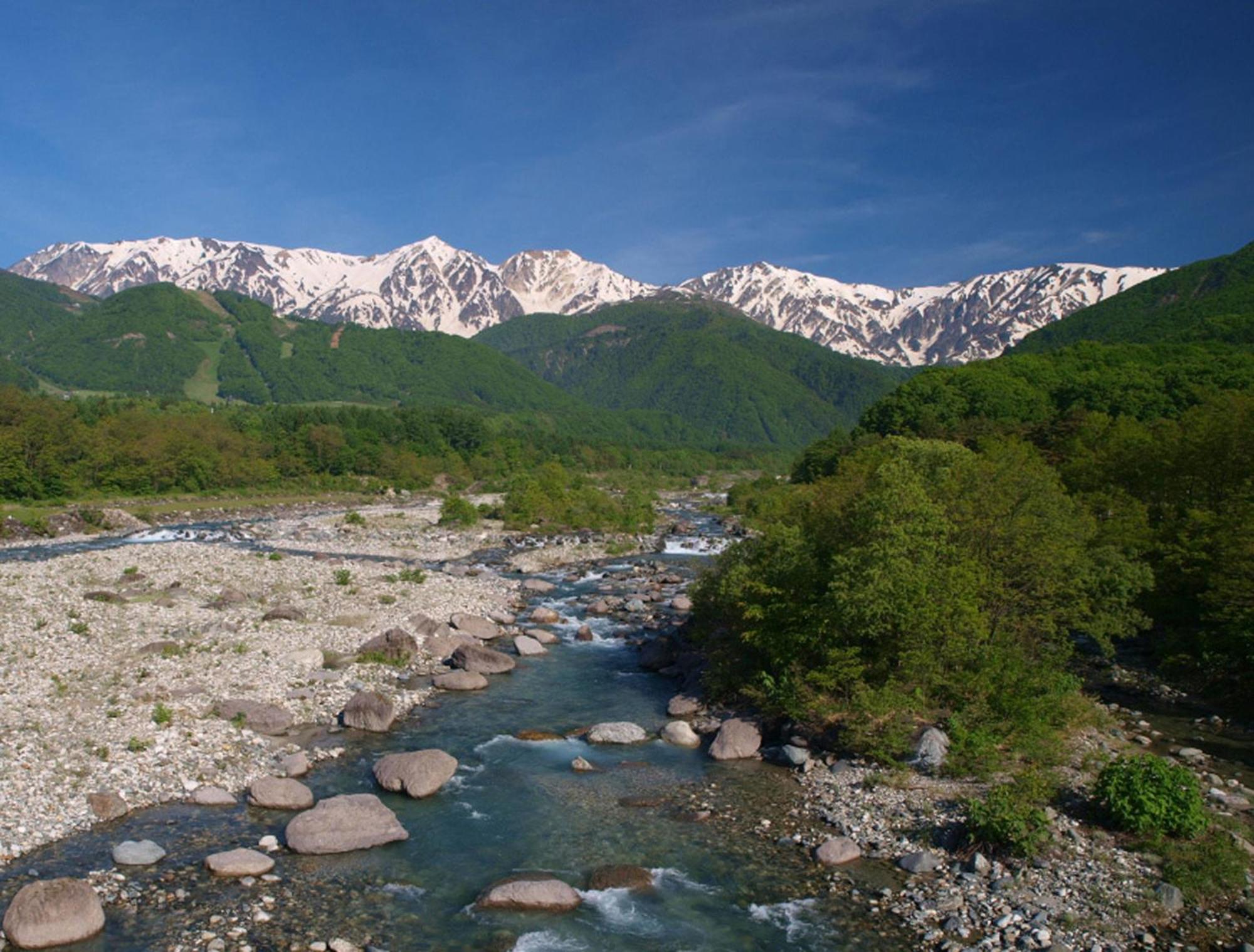 Hakuba Mominoki Hotel Exterior foto